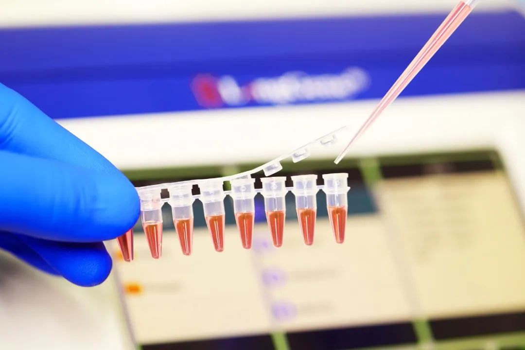 PCR/qPCR 消耗品はどのように選択すればよいですか?